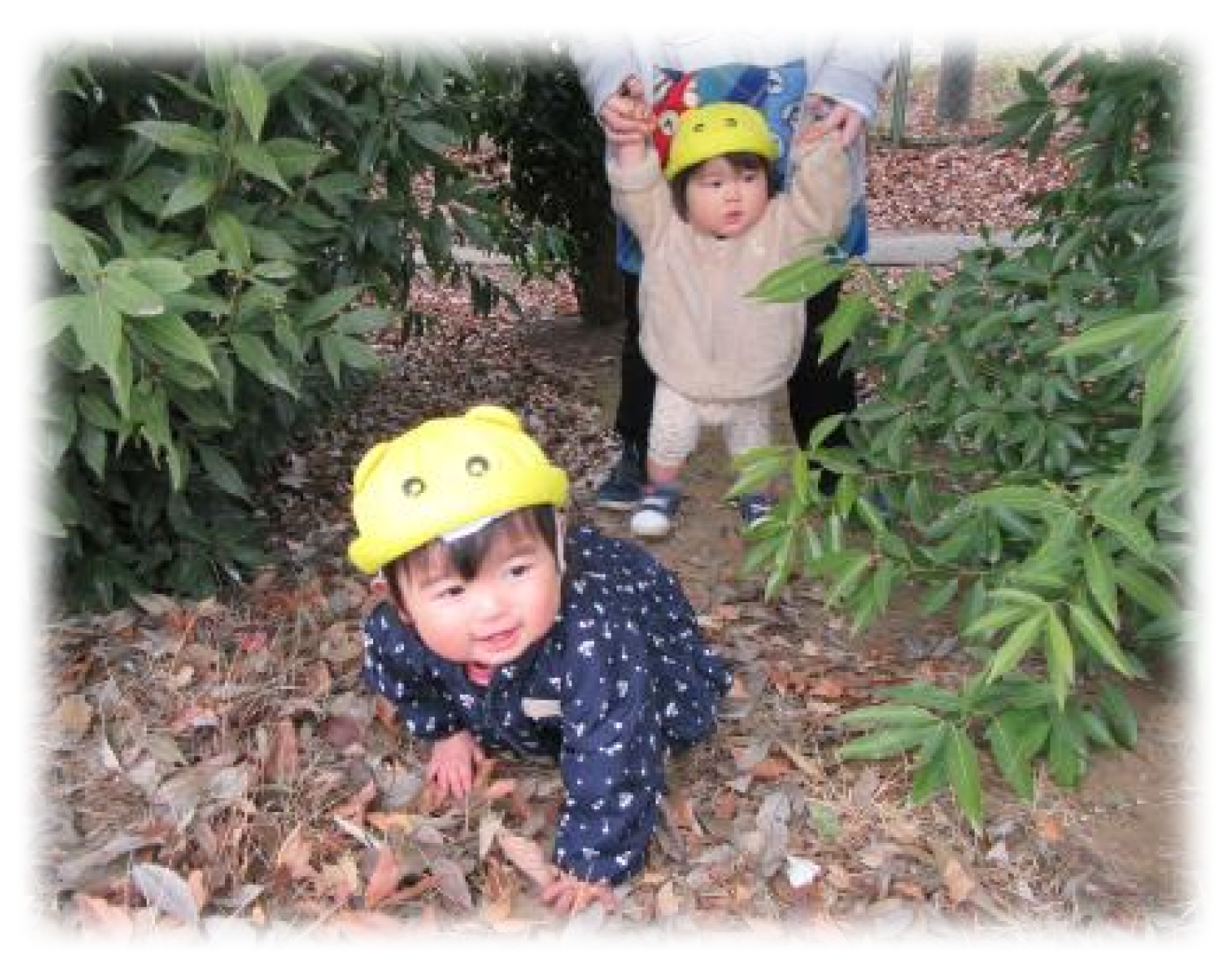 保育室の様子【12月】